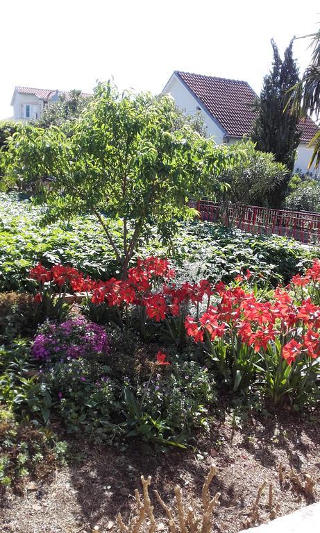 Villa Jozica Murter Dış mekan fotoğraf